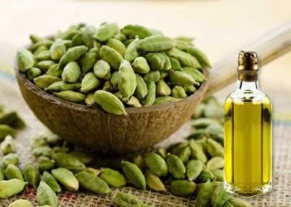 Cardamom Extract Oil - Image 2