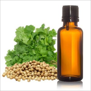 Coriander Extract Oil - Image 4