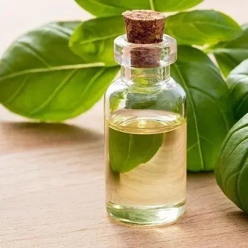 Holy-Basil-Oil-Ocimum-Sanctum-TheWholesalerCo-116898643_460x@2x