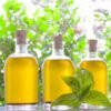 How-to-Make-Basil-Oil0066
