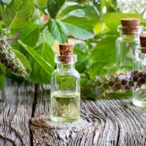 Basil Extract Oil