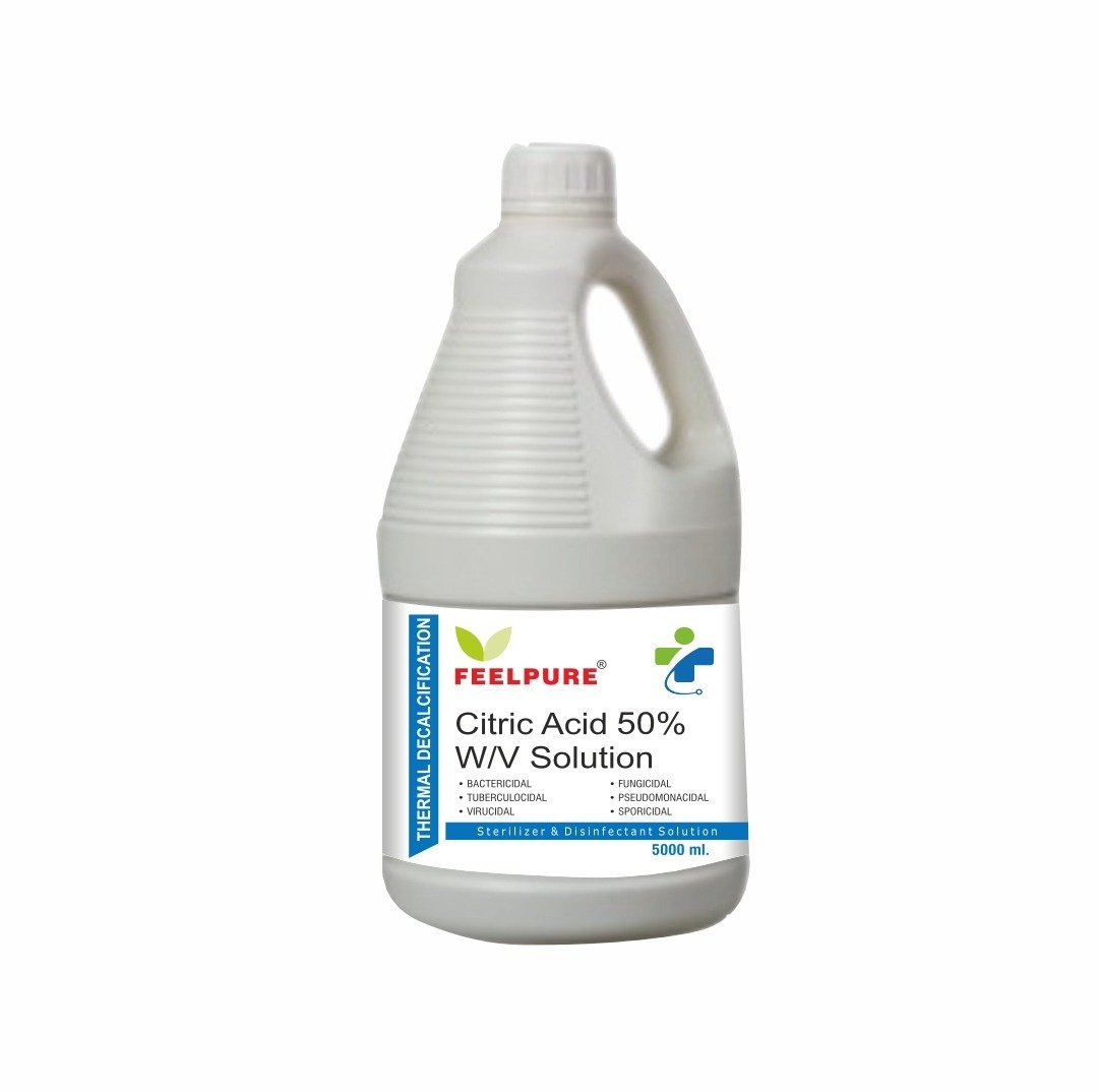 WhatsApp Image 2025-01-03 at 3.17.04 PM