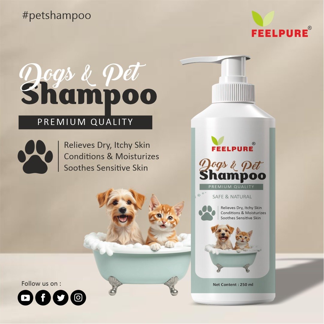 WhatsApp Image 2025-09-13 at 4.39.16 PM