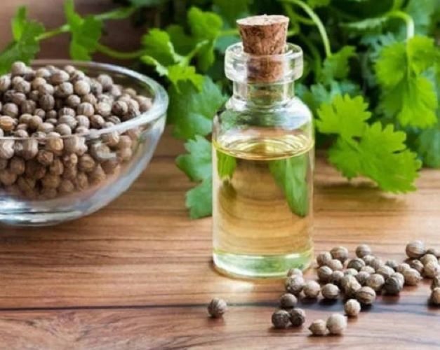 appetite-stimulant-slightly-woody-smell-coriander-seeds-oil-244